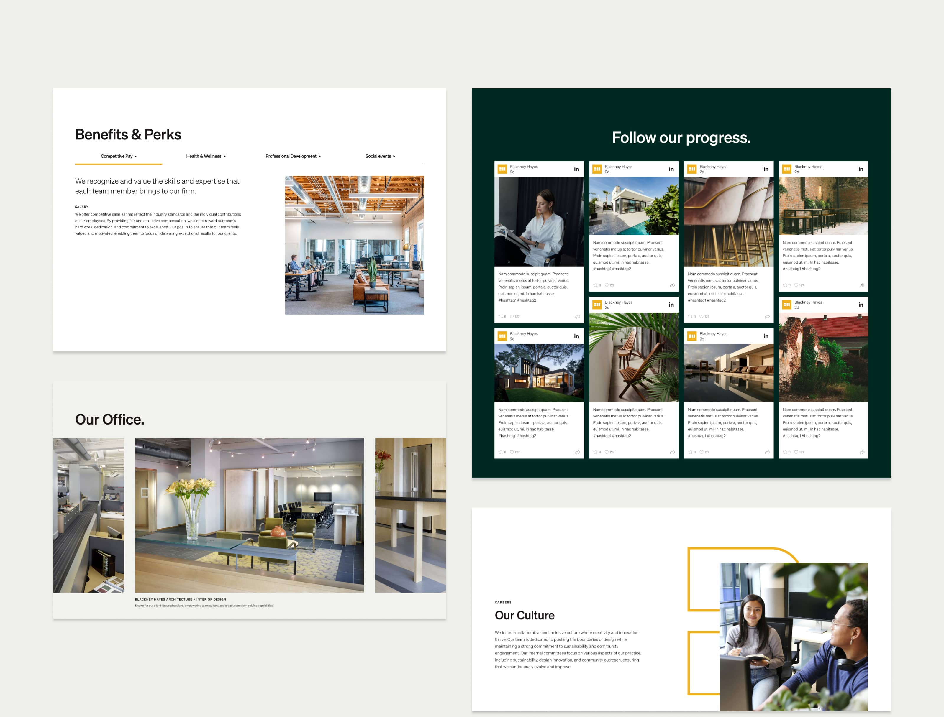 Blackney Hayes Architects Web Design Components